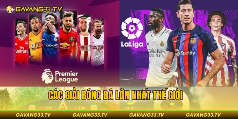 Các Giải Bóng Đá Lớn Nhất Thế Giới Từ Cấp CLB Đến Đội Tuyển 2 các giải bóng đá lớn nhất thế giới