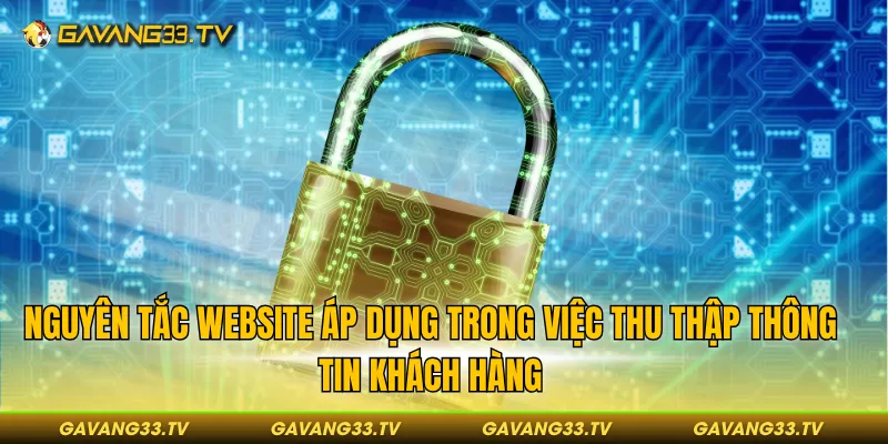 Nguyên tắc website áp dụng trong việc thu thập thông tin khách hàng