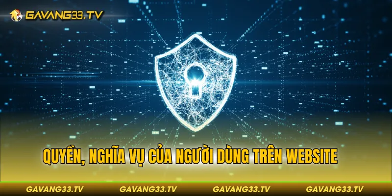 Quyền, nghĩa vụ của người dùng trên website