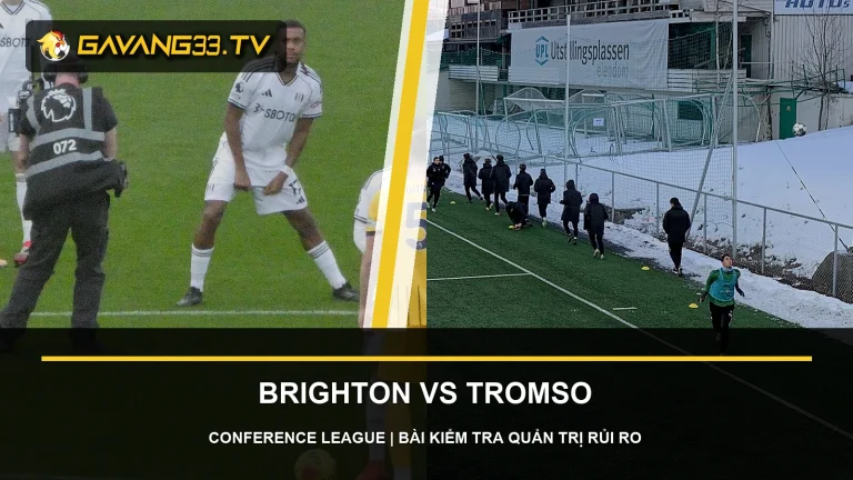 Nhận định Brighton vs Tromsø: Quản trị rủi ro lượt về 1 Tư liệu Brighton và Tromsø IL trước trận Conference League, có logo và tiêu đề bài nhận định