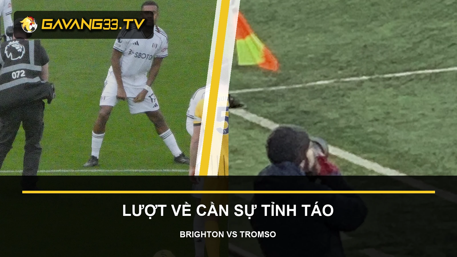 Nhận định Brighton vs Tromsø: Quản trị rủi ro lượt về 2 Tư liệu Brighton và Tromsø IL trước trận Conference League, có logo và tiêu đề bài nhận định