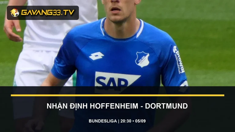 nhận định Hoffenheim vs Borussia Dortmund - ảnh đội bóng