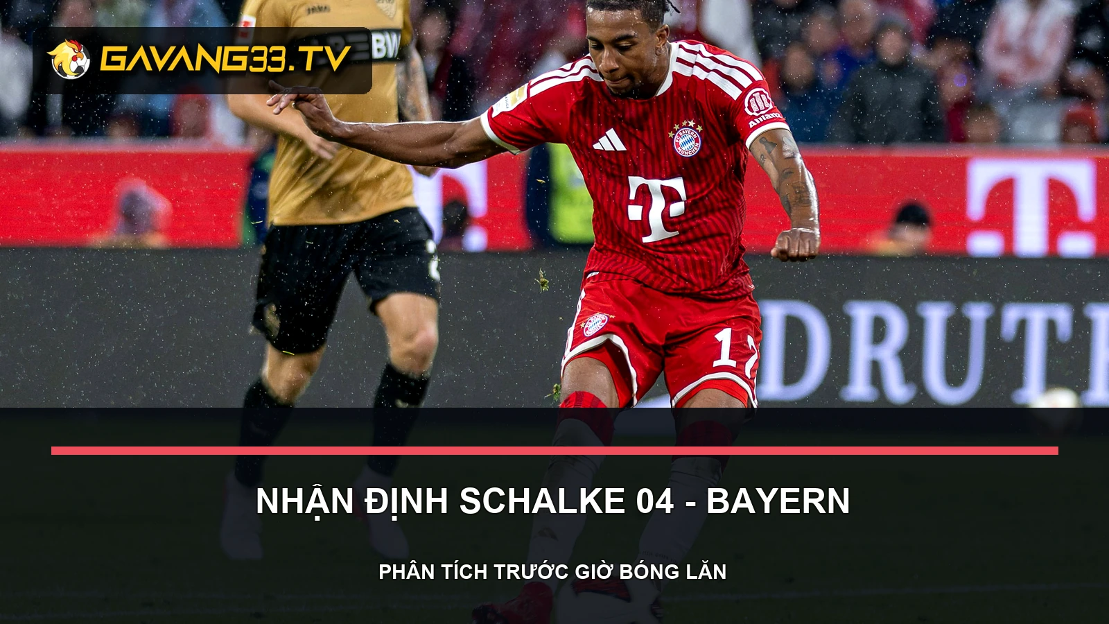 nhận định Schalke 04 vs Bayern Munich - ảnh tư liệu đội bóng